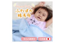 ふわぽか 綿毛布  ブルー 100×140cm 日本製 綿100% 毛布【1457361】