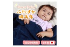 ふわぽか 綿毛布 紺 100×140cm 日本製 綿100% 毛布【1457398】