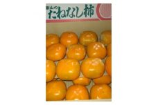 ＜家庭用＞平種無柿　約7.5kg(M～Lサイズ)32個～38個入り【1486481】
