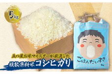 お米マイスターが厳選したお米です|お米 5キロ ～複数原料米コシヒカリ【1486592】