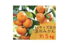 先行予約＜2025年12月発送＞温州みかん　約5kg　S-Lサイズ混合　まつもと農園和歌山県産みかん【1489599】