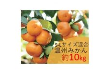 ＜2025年12月以降発送＞温州みかん　約10kg　S-Lサイズ混合　まつもと農園の和歌山県産みかん【1489600】