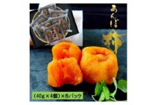 あんぽ柿　(40g×4個)×6パック【1373047】