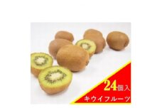 ＜2024年12月より順次発送＞おいじ果樹園の橋本市産キウイフルーツ 24個【1497317】