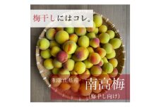 ＜6月上旬より順次発送＞梅干しといえばコレ! 和歌山県産　南高梅 3kg(Lサイズ以上)【1406436】