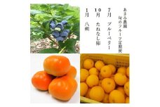 ＜発送月固定定期便＞2025-2026年　あさみ農園　旬のフルーツ3選全3回【4012894】