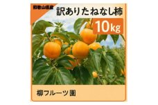 柳フルーツ園の訳ありたねなし柿　10kg【1077826】