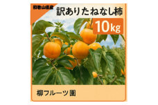 柳フルーツ園の訳ありたねなし柿　10kg【1077826】