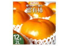 柳フルーツ園の富有柿【1362150】