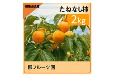柳フルーツ園 たねなし柿 約2kg【1430450】