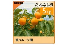 柳フルーツ園 たねなし柿 約5kg【1430458】