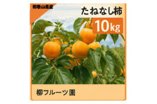 柳フルーツ園 たねなし柿 約10kg　＜2025年秋冬配送＞【1430469】