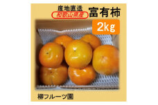 柳フルーツ園の富有柿 約2kg＜2025年冬配送＞【1456563】