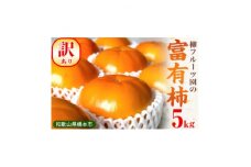 柳フルーツ園の訳あり富有柿 約5kg【1456567】