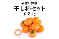 柳フルーツ園の干し柿セット 約2kg【1457263】