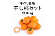 柳フルーツ園の干し柿セット 約10kg＜2025年秋冬配送＞【1457279】