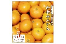 和歌山県産　美濃農園の和歌山みかん　約5kg【1274028】