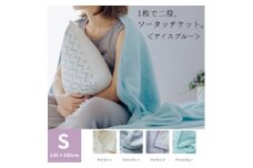 1枚で二役、ツータッチケット アイスブルー【1492360】