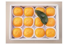 ケーズファーム　平たねなし柿　12～13個入　2L～3Lサイズ【1147921】