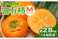 家庭で食べるのにぴったりなMサイズです。