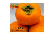 ＜先行受付　2025年秋順次発送＞秋の味覚のたねなし柿(3Lサイズ　10～12個)【1508705】