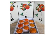 ＜先行受付　2025年11月以降順次発送＞紀州てまり　4Lサイズ【1508724】