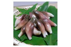 谷奥深ファームの秋みょうが　約500g(約250g×2パック)【1511643】