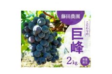 ＜先行予約:2025年夏発送ぶどう＞　藤田農園　こだわりの巨峰 約2kg【1491521】