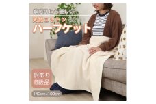 ＜訳あり＞ ひざ掛け アイボリー 大判 ハーフケット 毛布 コットン100% シール織【1512512】