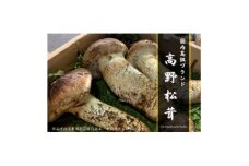 ＜和歌山産＞～香りそのまま真空パック～高級・希少 高野松茸　200g(訳有品詰合せ)【1340753】