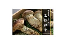 ＜和歌山産＞～香りそのまま真空パック～高級・希少 高野松茸　300g(雅:★★)【1340771】