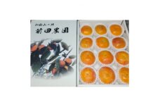 和歌山県産　富有柿(贈答用)　2Lサイズ　3kg【1524682】