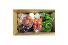 旬の野菜セット【1545269】