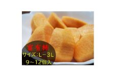 冨有柿【1549256】