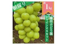 ＜2025年先行予約＞藤田ぶどう園のシャインマスカット　約1kg【1555319】