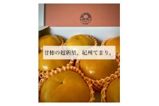 極上果汁!紀州てまり柿 A級スペシャルオレンジパッケージ版 4Lサイズ以上 7～8玉入【1582433】