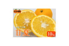 令和7年5月発送　木成り完熟甘夏みかん 約10kg ＜数量限定＞松本農園　橋本市産【1595969】