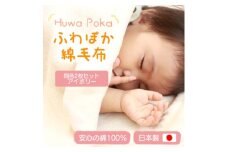 ＜同色2枚セット＞ふわぽか 綿毛布 アイボリー 100×140cm 日本製 綿100% 毛布【1607522】