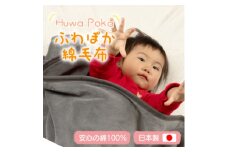 ふわぽか 綿毛布 アッシュグレー 100×140cm 日本製 綿100% 毛布【1606191】
