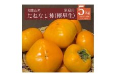 ＜2025年秋発送＞たねなし柿(極早生)22～28個(5kg)和歌山県産フルーツ【1623777】