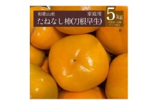 ＜2025年秋発送＞たねなし柿(刀根早生)20～25個(5kg)和歌山県産フルーツ【1623843】