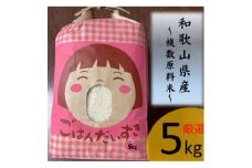 ＜令和6年産＞ お米 5kg 和歌山県産【1613461】