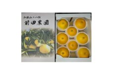 ＜特別栽培＞和歌山県産　贈答用　八朔3L(8個入り)【1640099】