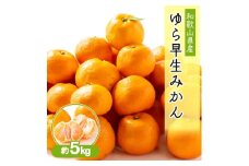 和歌山の早生みかん　ゆら早生(大きさ不揃い)　約5kg【1582070】