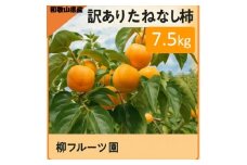 柳フルーツ園の訳ありたねなし柿7.5kg【1077001】