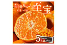 有田市認定みかん「未来への虹」至宝(5kg)【日本初自治体認定フルーツ】(A1-2)