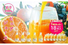伊藤農園  5種みかんピュアジュースセット(A11-3)