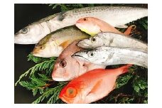 太刀魚と旬の魚セット(約6種類 / 約1.5~2kg程度)(A67-1)