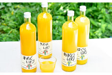 伊藤農園 100%ピュアジュース飲み比べ750ml×9本セット（A79-3）