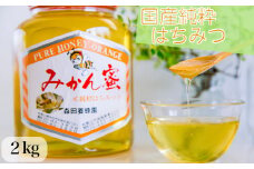 国産純粋はちみつ(みかん蜜)　2kg(A89-1)